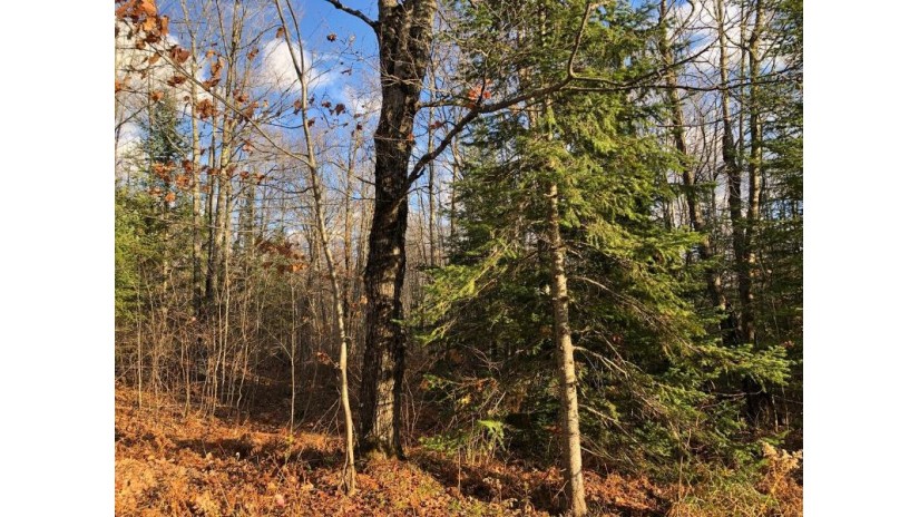 Lot 44 Alpine Dr Hurley, WI 54565 by Century 21 Pierce Realty - Mercer $24,000