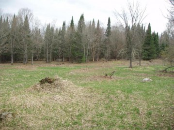 On Cth N 20 Acres, Glidden, WI 54527