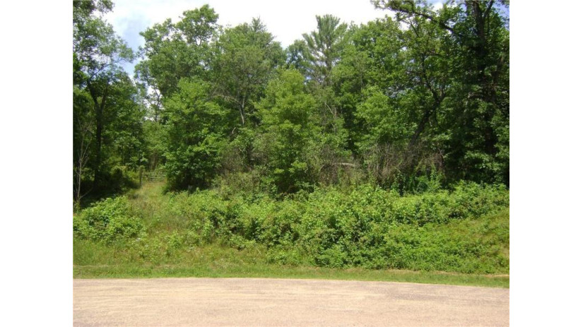 Lot 22 Waters Edge Road Black River Falls, WI 54615 by Clearview Realty, Llc Black River Falls $49,900