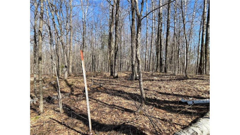 Lot 6 Eagles Nest Road Birchwood, WI 54817 by Edina Realty, Inc. - Spooner $49,900