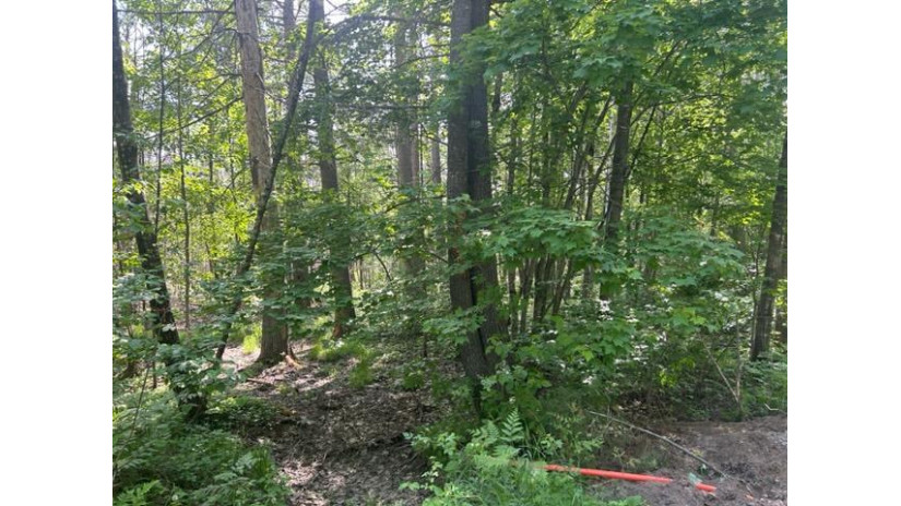 Lot On Big Wolf Ln Eagle River, WI 54521 by Century 21 Burkett & Assoc. $24,900