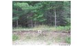 Lot 4 Dylan Lane Cable, WI 54821 by Camp David Realty $18,895
