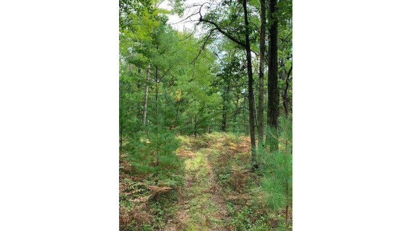 Lot 6 County Road J Neillsville, WI 54456 by Cb River Valley Realty/Brf $59,900