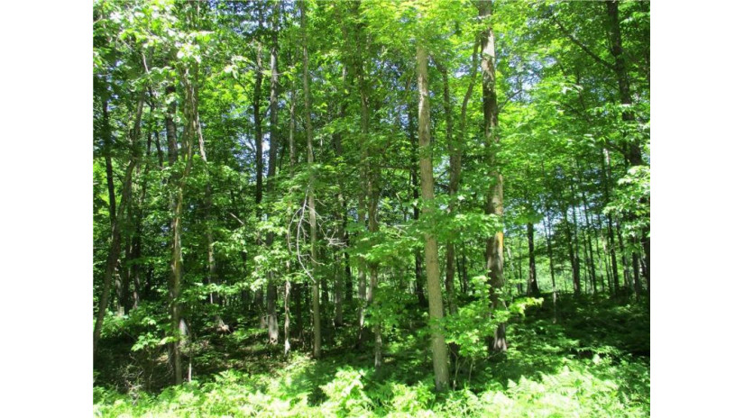 LOT #84 Maple Way Birchwood, WI 54817 by Dane Arthur Real Estate Agency/Birchwood $40,000