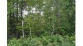 0 West County Road X W Glen Flora, WI 54526 by Whitetail Properties Real Estate $90,000