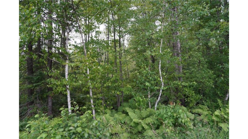 0 West County Road X W Glen Flora, WI 54526 by Whitetail Properties Real Estate $90,000