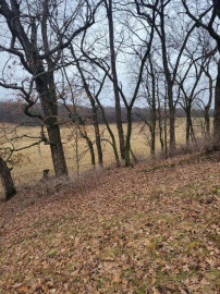 LOT 3 Tower Line Road, Medina, WI 53559