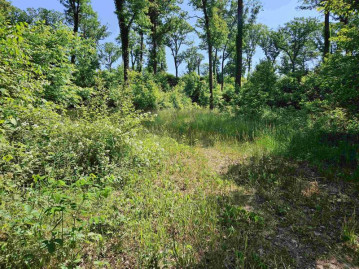 24 +/- AC Sunrise Road, Westfield, WI 53943