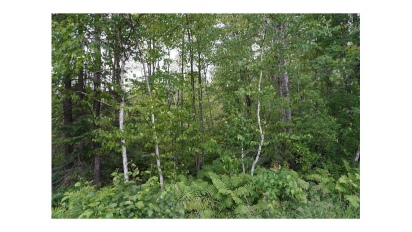 0 County Road X Glen Flora, WI 54526 by Whitetail Properties Real Esta $90,000