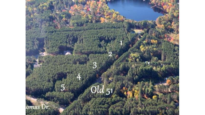 Lot 4 Old Hwy 51 Arbor Vitae, WI 54568 by First Weber - Minocqua $34,900