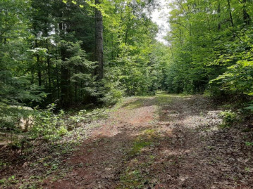 Lot 3 Spring Camp Rd, Pence, WI 54550