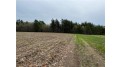 Lot 8 Wissota Acres Chippewa Falls, WI 54729 by Cb Brenizer/Chippewa $97,900