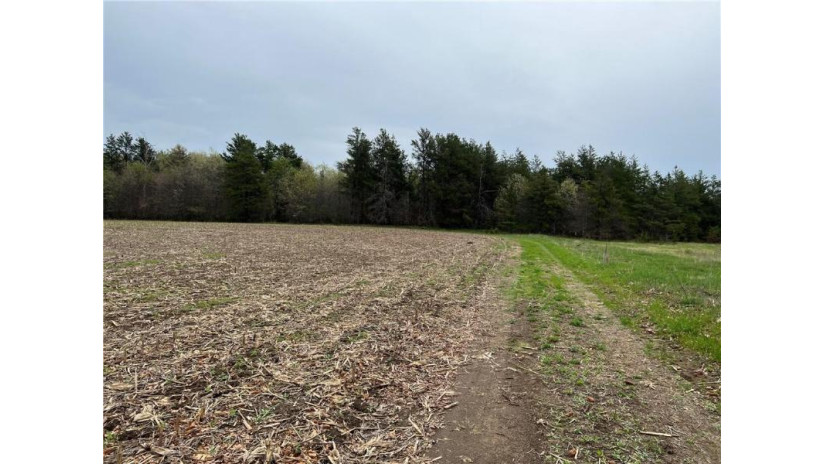 Lot 8 Wissota Acres Chippewa Falls, WI 54729 by Cb Brenizer/Chippewa $97,900