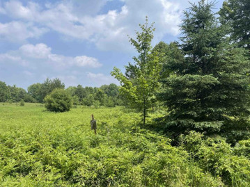 N14730 Wontor Road Lot 4, Amberg, WI 54102