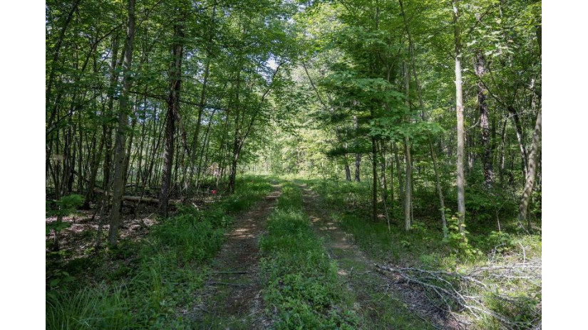 9.18 ACRES County Road A Clearfield, WI 53950 by Castle Rock Realty Llc - Pref: 608-408-8998 $65,000