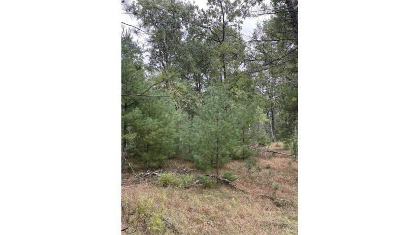 10.239 Acres Townline Road Lot 6 Of Wccsm 10969 Wisconsin Rapids, WI 54494 by Re/Max Connect - Phone: 715-213-7477 $101,000