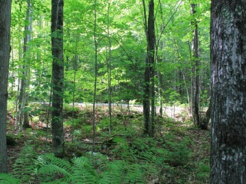 Lot 39 Alpine Dr, Anderson, WI 54565