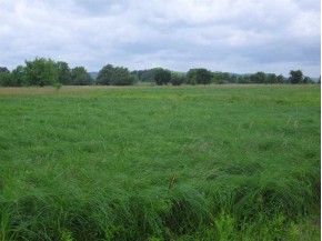 29.96 AC Cross Rd