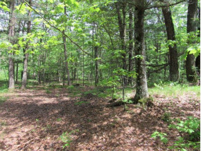 3.83 AC Hwy 13