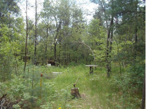 N10277 Timber Ln