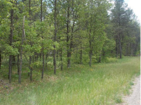 N10277 Timber Ln