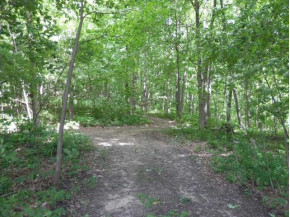 45.25 AC Garner Hill Rd