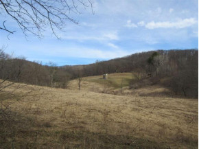 47.72 AC Conant Rd