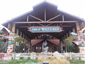 1400 Great Wolf Dr 1127