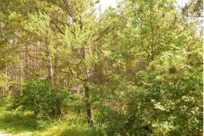 3.54 AC Eiters Way