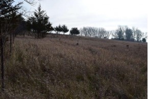 58.32 AC Hillside Dr