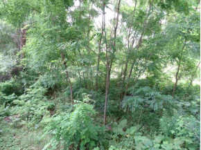 2.78 AC Riverside Dr