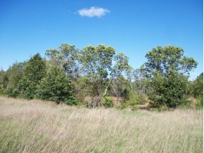 18.47 AC County Road A