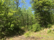 6 AC Graf Rd