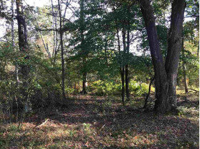 97.3 AC County Road M