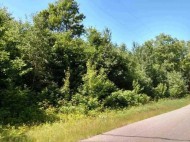 10 AC Oneida Lake Rd