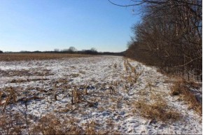 35.7 AC County Road B