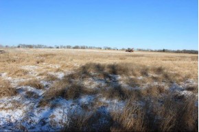 35.7 AC County Road B