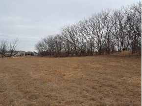 21.83 AC E Maple St