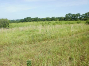 30 AC County Road Jg