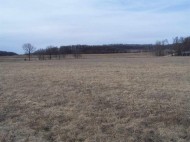 4.59 AC Clarkwood Ln