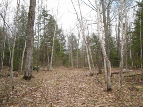 37 AC Slizewski Rd