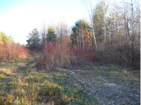 4.92 AC Hwy 16