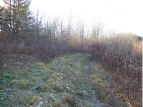 4.92 AC Hwy 16