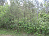 23 AC Dyke Dr