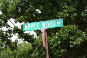 L1 Apple Wood Dr