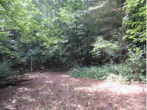 14.7 AC Grayling Rd