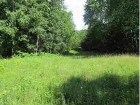 14.7 AC Grayling Rd