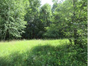 14.7 AC Grayling Rd