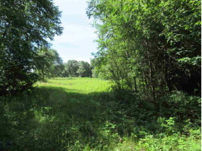 14.7 AC Grayling Rd