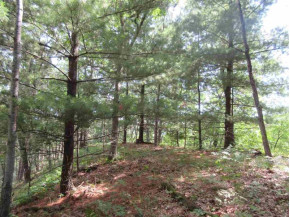 14.7 AC Grayling Rd